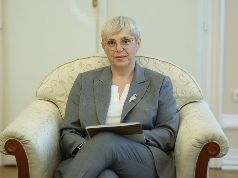 Slika članka
