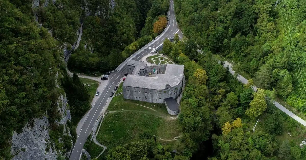 Slika članka