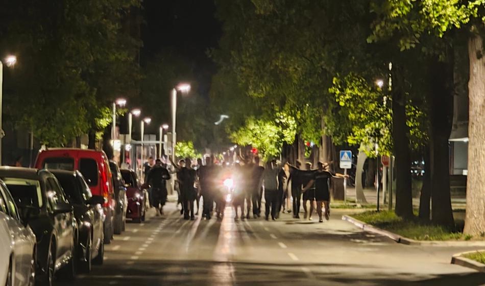 Slika članka