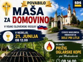 Slika članka