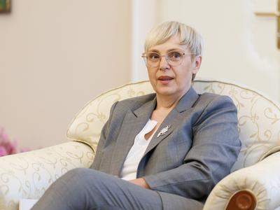 Slika članka