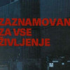 Slika članka