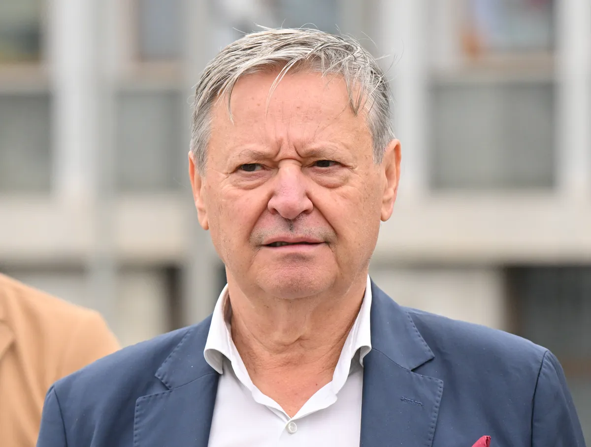 Slika članka