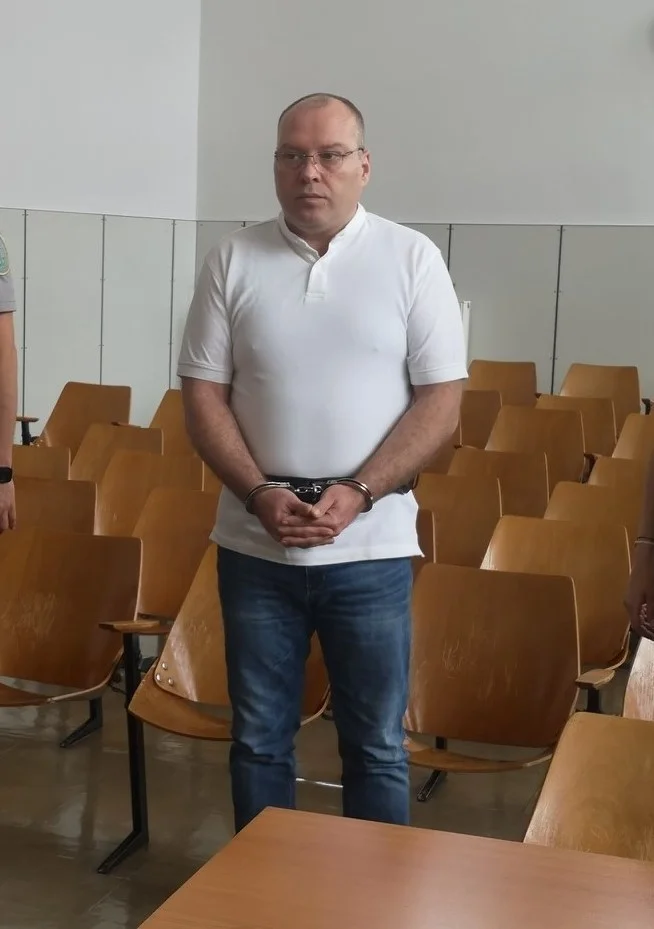 Slika članka