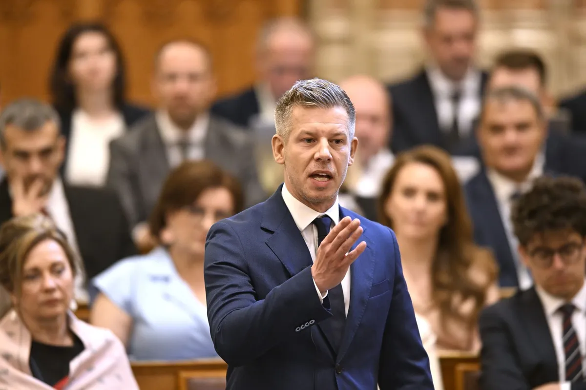 Slika članka