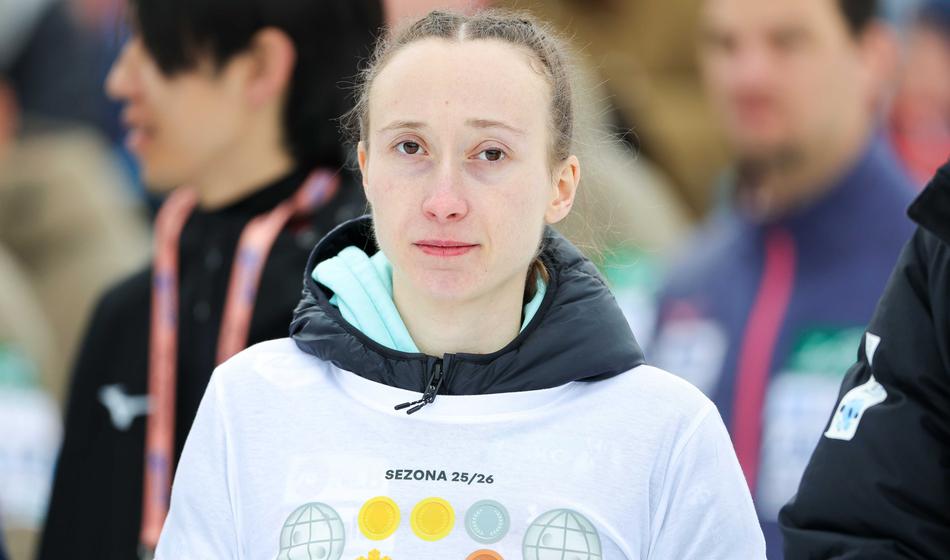 Slika članka