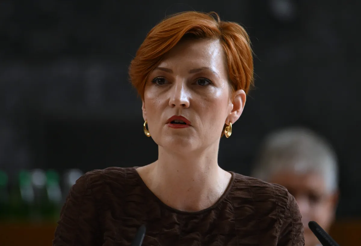 Slika članka