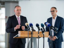 Slika članka