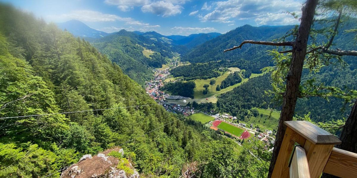 Slika članka