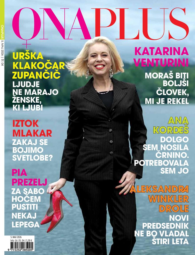 Slika članka