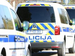 Slika članka