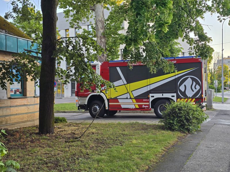 Slika članka