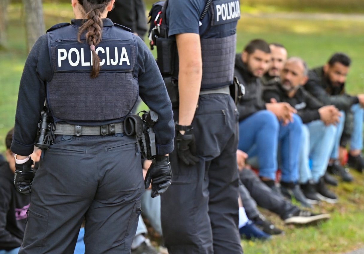 Slika članka