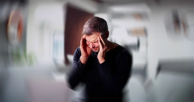 Slika članka