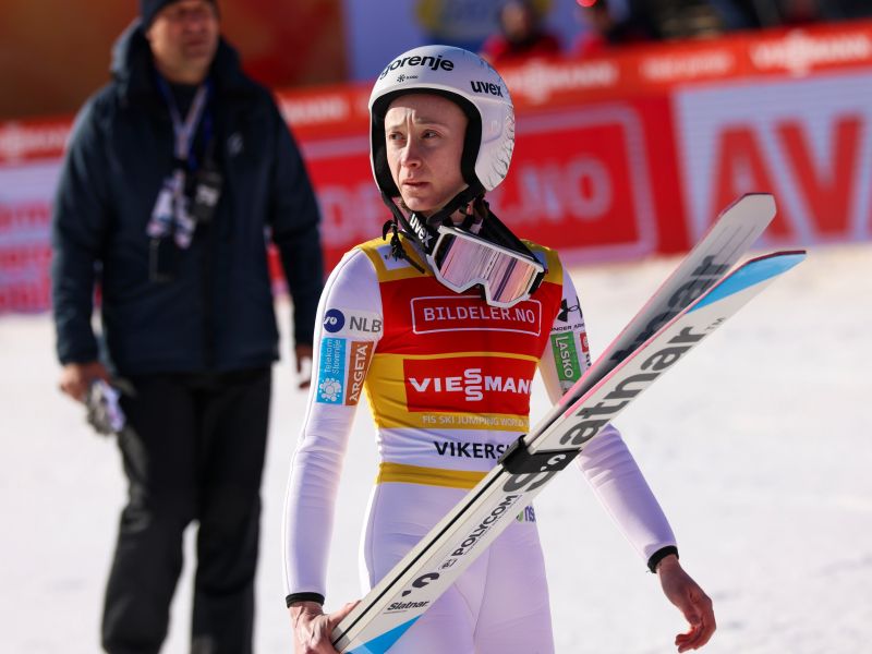 Slika članka