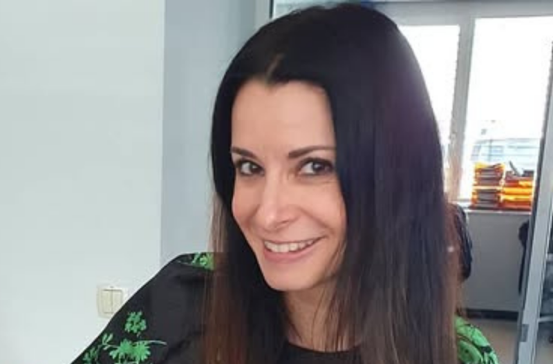 Slika članka
