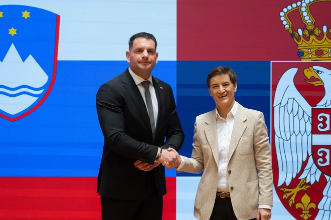 Slika članka