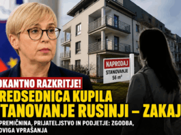 Slika članka