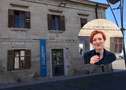Slika članka