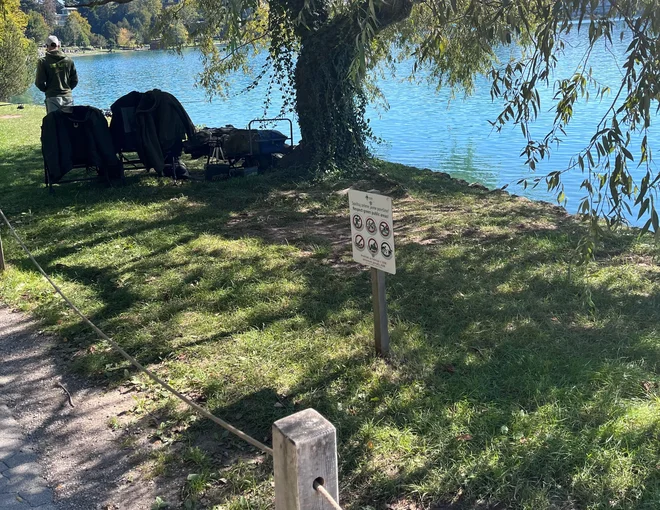 Slika članka
