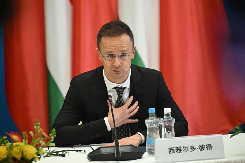 Slika članka