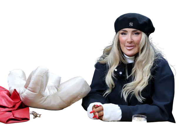 Slika članka