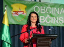 Slika članka