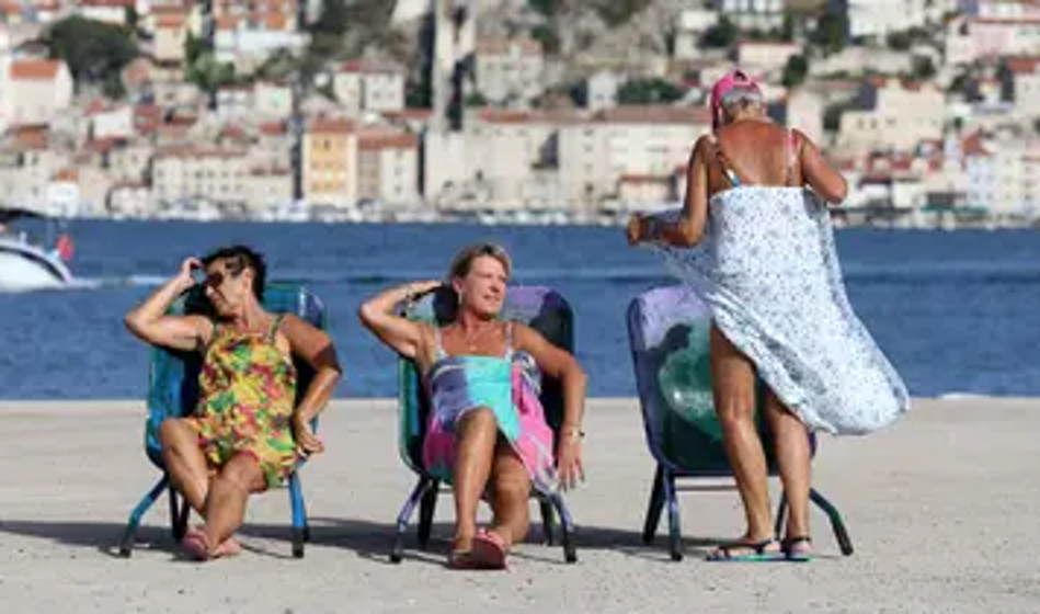 Slika članka