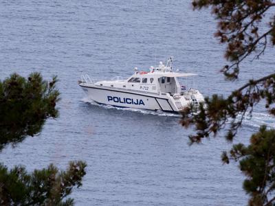 Slika članka