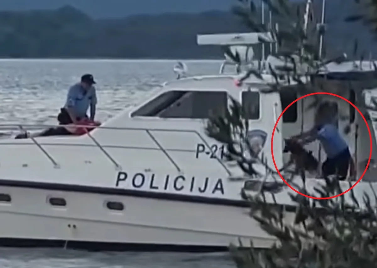 Slika članka
