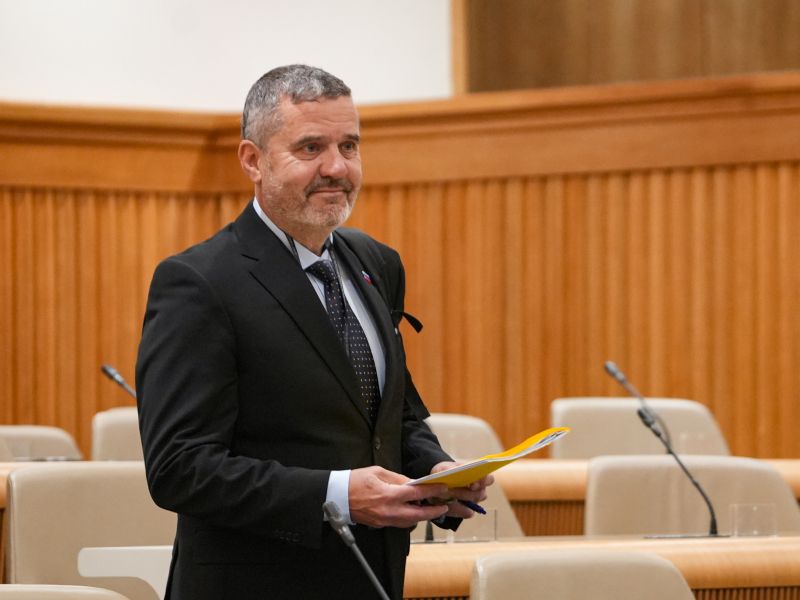 Slika članka