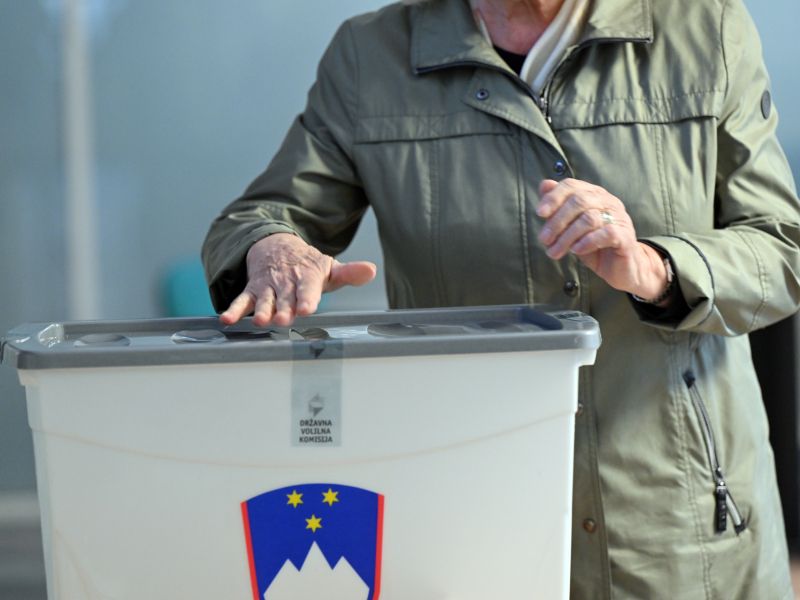 Slika članka