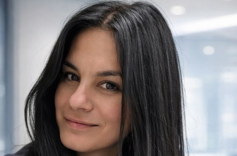 Slika članka
