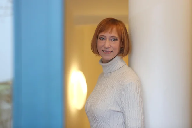 Slika članka