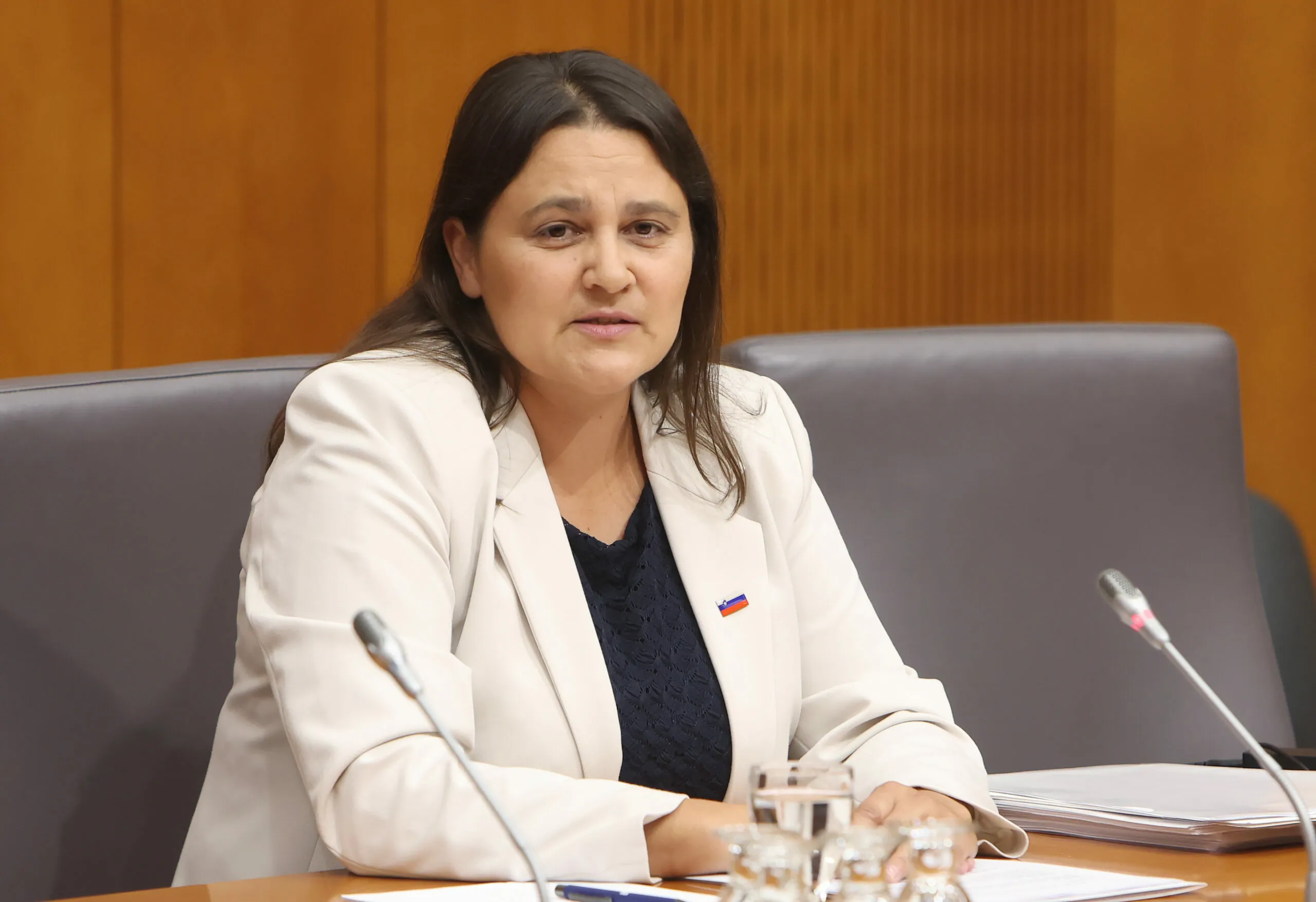 Slika članka