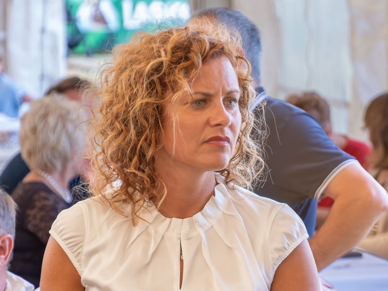 Slika članka