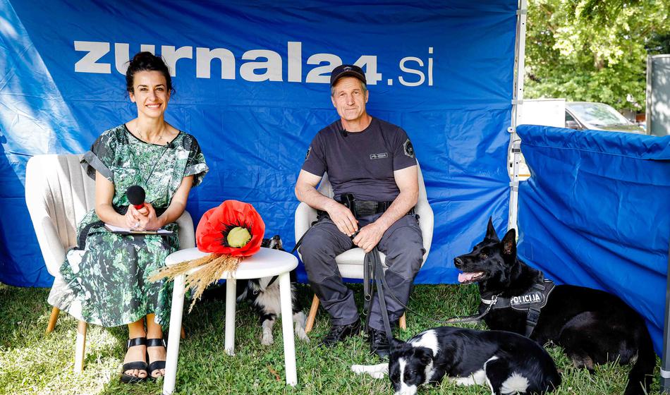 Slika članka