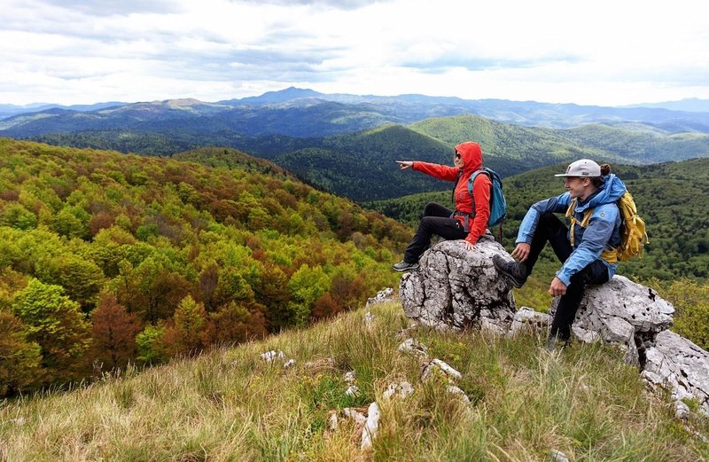 Slika članka