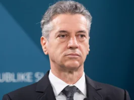 Slika članka