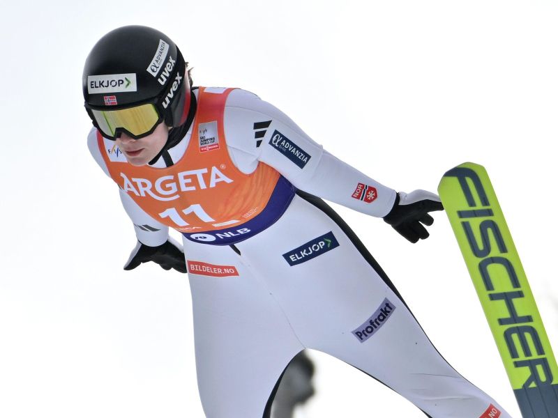 Slika članka