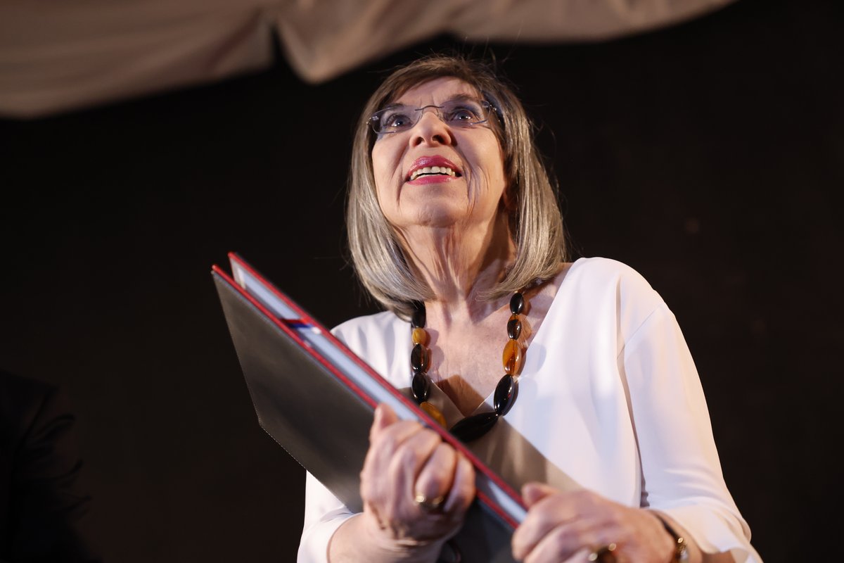 Slika članka