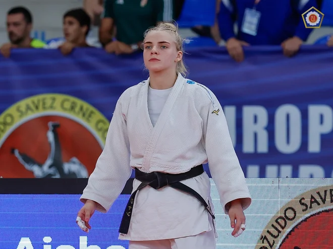 Slika članka