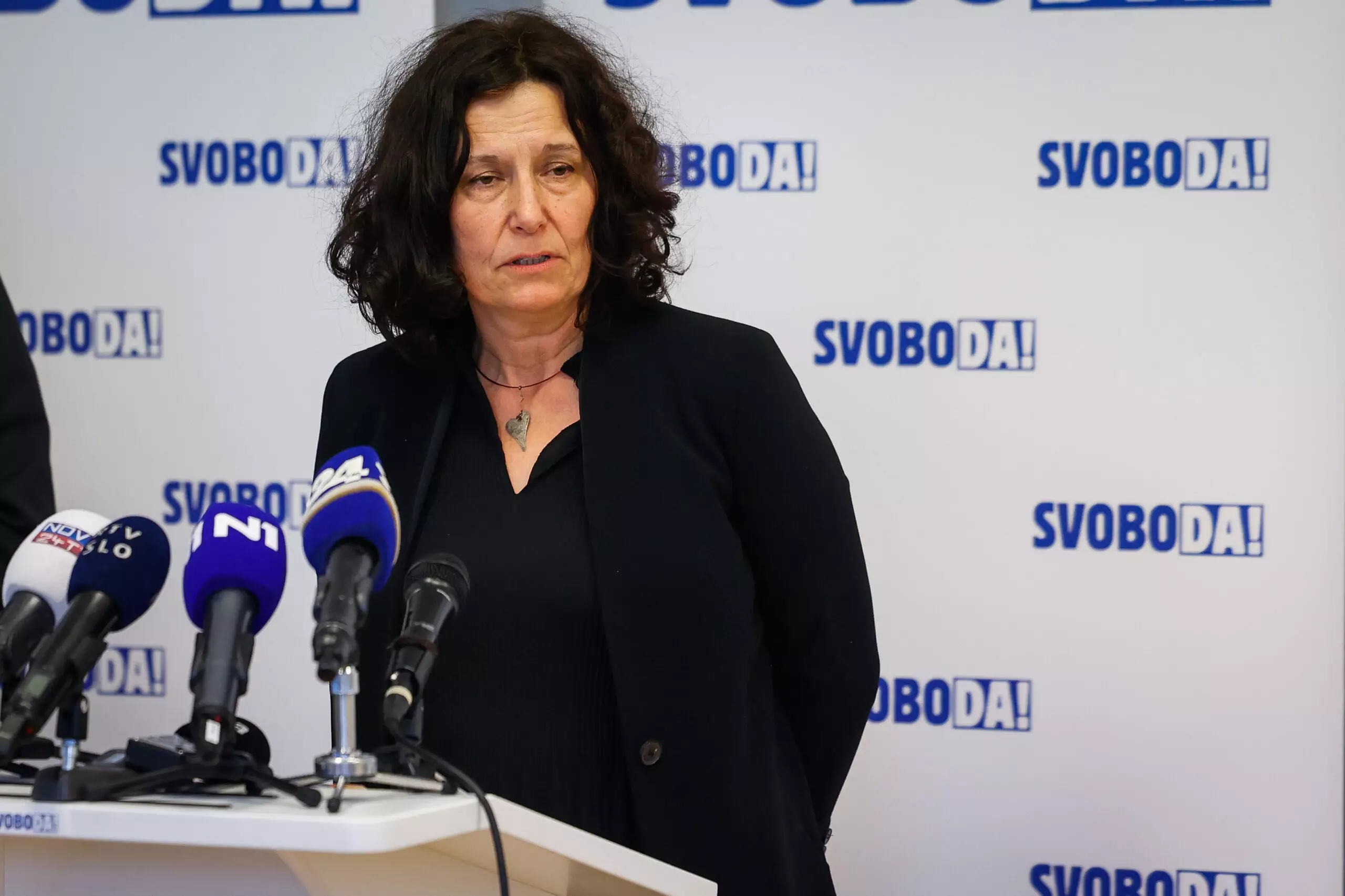 Slika članka