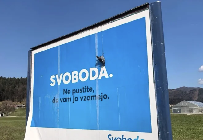 Slika članka