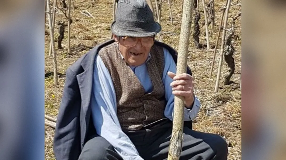 Slika članka