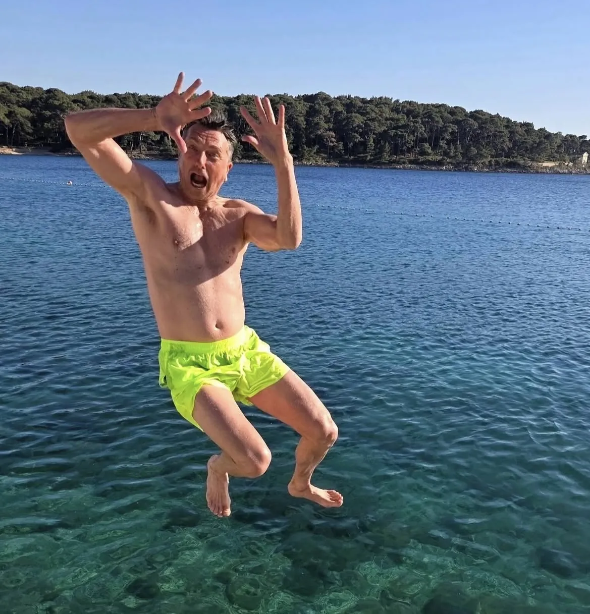 Slika članka