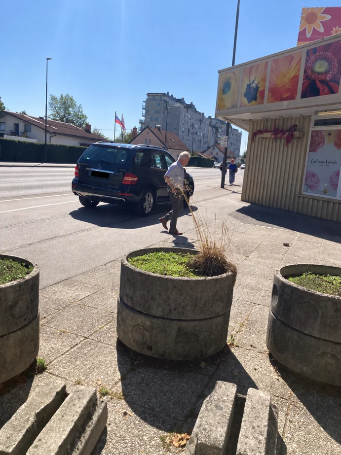 Slika članka