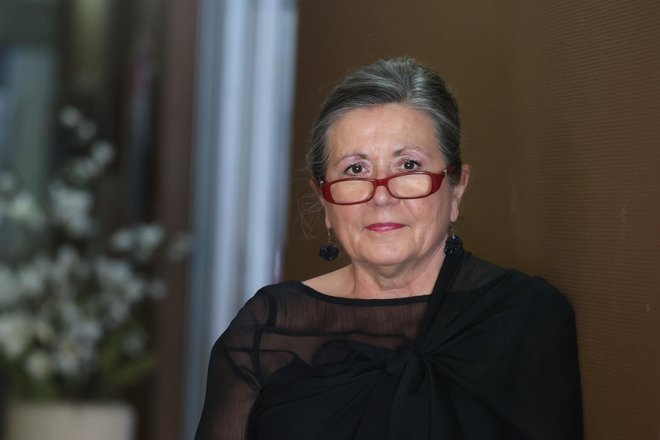 Slika članka