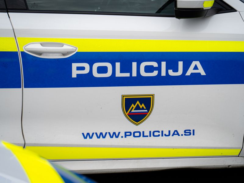 Slika članka