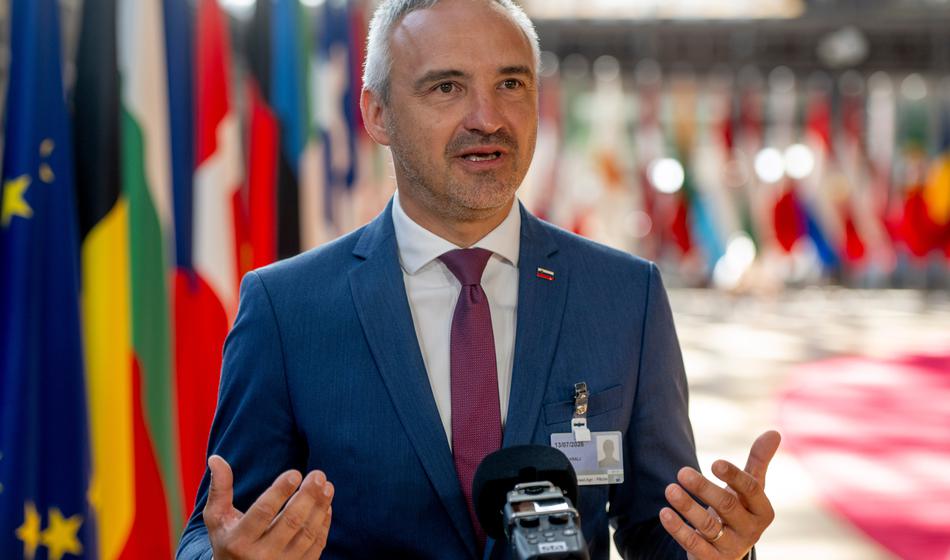 Slika članka